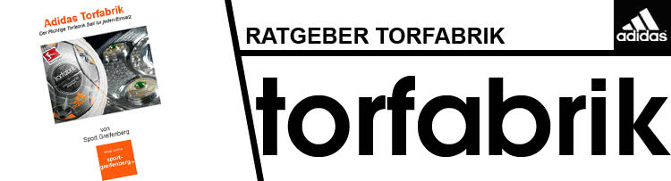 Der Adidas Torfabrik Ratgeber als pdf download für Vereine