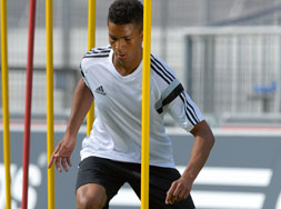 Adidas Condivo 14 Trainings Jersey im Sport Shop bestellen Das Adidas Condivo 14 Training Jersey als Sport T-Shirt für das Training bestllen