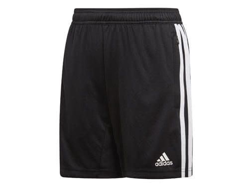 adidas Tiro 19 Training Short im Sportartikel Shop kaufen