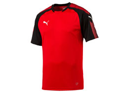 Puma Ascension Training Jersey bestellen Puma Ascension Training Jersey im Sportartikel Shop kaufen