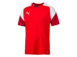Puma Esito 4 Training Jersey Das Puma Esito 4 Training Jersey und T-Shirt
