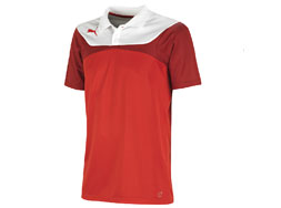 Puma Esito 3 Poloshirt und Polo aus Polyester kaufen Das Puma Esito 3 Poloshirt als Sportbekleidung der Teamline