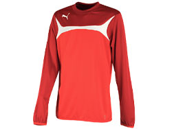 Puma Esito 3 Training Sweat in vielen Farben Das Pume Esito 3 Training Sweat als Sportartikel aus Polyester