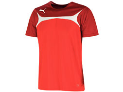 Puma Esito 3 Training Jersey im Teamsport Shop kaufen Puma Esito 3 Training Jersey als Sport T-Shirt für Vereine