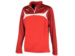 Puma Esito 3 Training Top kaufen Das Puma Esito 3 Training Top als Sportbekleidung fürs Training