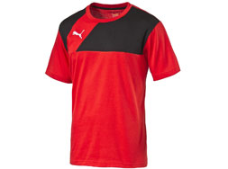 Puma Esquadra Tee der Teamline kaufen Puma Esquadra Tee als Baumwolle T-Shirt für die Freizeit