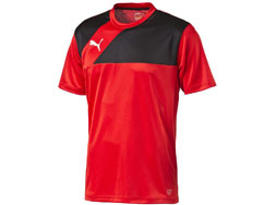 Puma Esquadra Training Jersey Das Puma Esquadra Training Jersey und T-Shirt