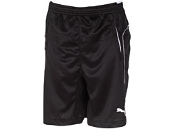 Puma Training Short zur Teamline kaufen Die Puma Training Short Pro als Sporartikel zur Esquadra Sportbekleidung