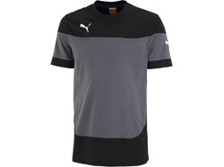 Puma Indomitable Tee bestellen Puma Indomitable Tee als Teamline Sportbekleidung aus Baumwolle