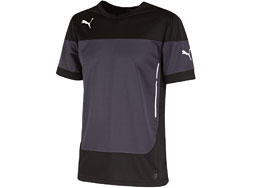Puma Indomitable Training Jersey kaufen Das Puma Indomitable Training Jersey als Sport T-Shirt fürs Training
