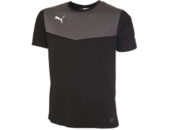 Das Puma King T-Shirt für den Teamsport kaufen Puma King T-Shirt kaufen