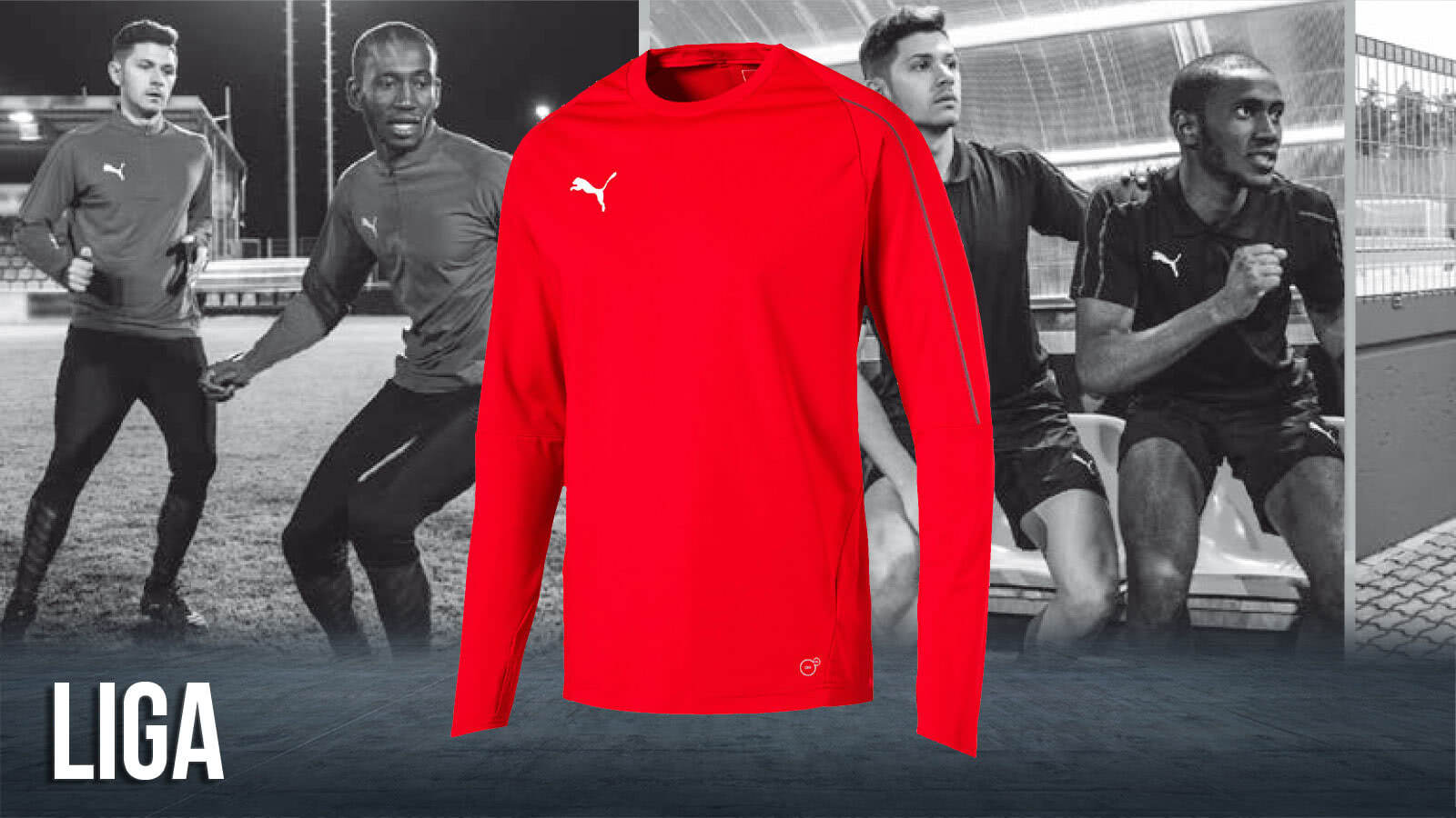 Puma Liga Teamline im Sport Shop bestellen