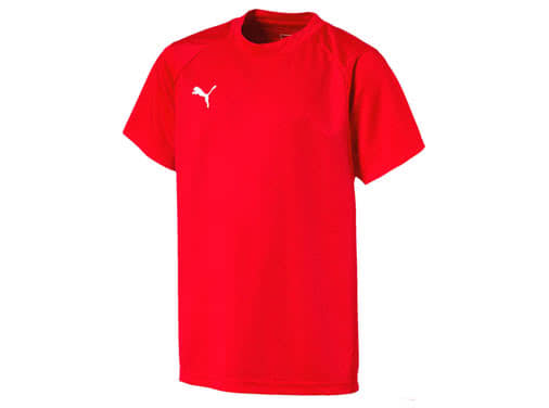 Puma Liga Training Jersey und Sport T-Shirt zum trainieren kaufen