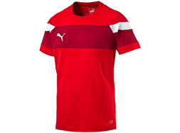 Puma Spirit II Leisure T-Shirt und Tee der Teamline kaufen Puma Spirit II Leisure T-Shirt aus Baumwolle Material bestellen