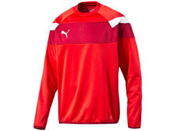 Puma Spirit II Training Sweat kaufen Puma Spirit II Training Sweat als Sport Sweatshirt bestellen