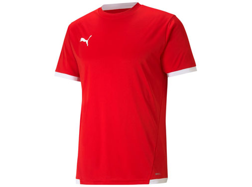 Das Puma teamLiga Trikot und Training Jersey für alle Sportarten