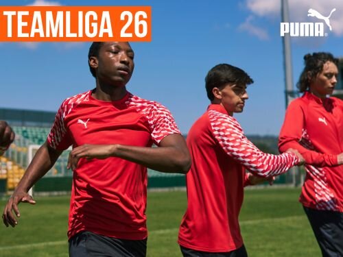 Puma teamLiga 26 Teamline bestellen