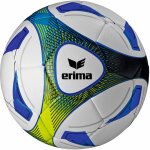 10er Erima Hybrid Training Ballpaket