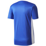 adidas Entrada 18 Trikot - bold blue/white - Gr. m