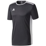 adidas Entrada 18 Kinder Trikotsatz