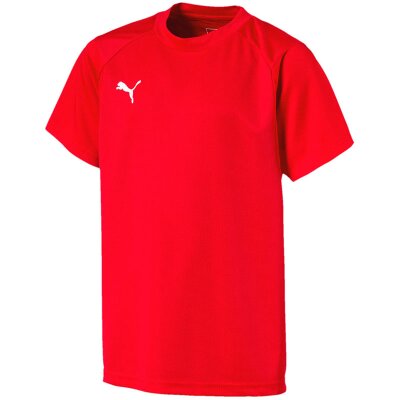 Puma Liga Training Jersey von Puma