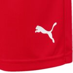 Puma Liga Short Core mit Slip