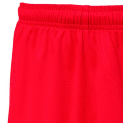 puma liga shorts core
