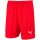 Puma Liga Short Core