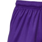 Puma Liga Short Core - prism violet-puma white - Gr. xl