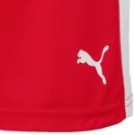 Puma Liga Short