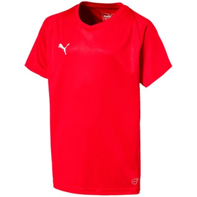 Puma Liga Trikot Core