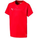 Puma Liga Trikot Core