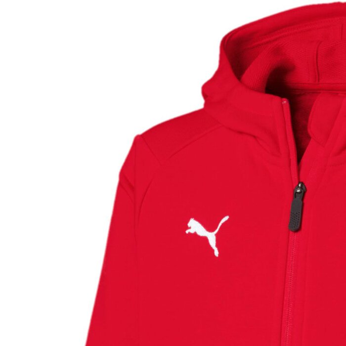 puma kapuzenjacke liga casuals