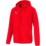 Puma Liga Casuals Hoody Jacke