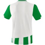 Erima Siena 3.0 Trikot - smaragd/white - Gr. S
