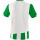 Erima Siena 3.0 Trikot - smaragd/white - Gr. M