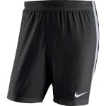 Nike Venom Woven Short