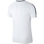 Nike Academy 18 Training Top Jersey - white/black/black -...