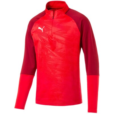 Puma Cup Training 1/4 Zip Top Core