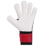 Jako Torwarthandschuhe Champ Basic RC Protection