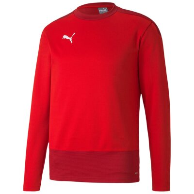 Puma teamGoal 23 Training Sweat