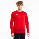 Puma teamGoal 23 Training Sweat