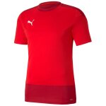 Puma teamGoal 23 Training Jersey