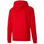 Puma teamGoal 23 Casuals Hoody