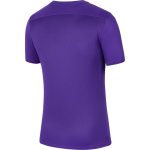 Nike Park VII Trikot - court purple/white - Gr. xl