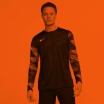 Nike Park IV GK Torwart Trikot