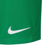 Nike Park III Short - pine green/white - Gr. kinder-m