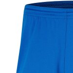 Nike Park III Short - royal blue/white - Gr. m