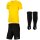 Nike Park VII Trikotsatz - tour yellow/black - black - black - Gr. kurzarm | m - m - l