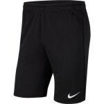 Nike Park 20 Knit Short